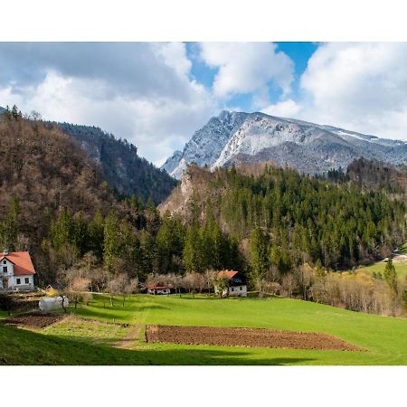 Turisticna Kmetija Stoglej Villa Luče Exterior foto