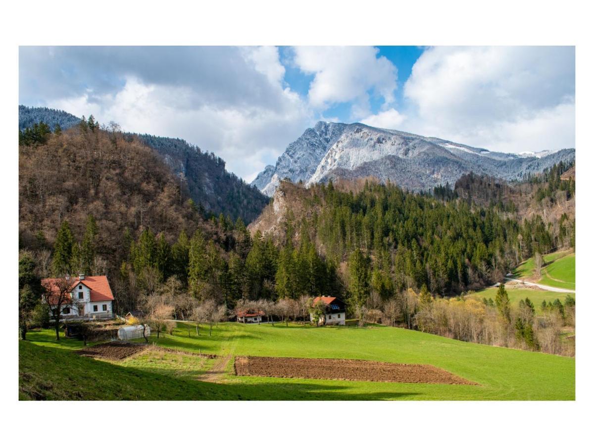 Turisticna Kmetija Stoglej Villa Luče Exterior foto