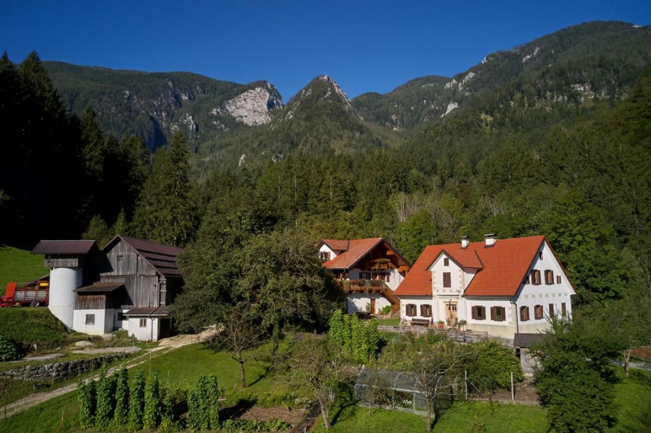 Turisticna Kmetija Stoglej Villa Luče Exterior foto