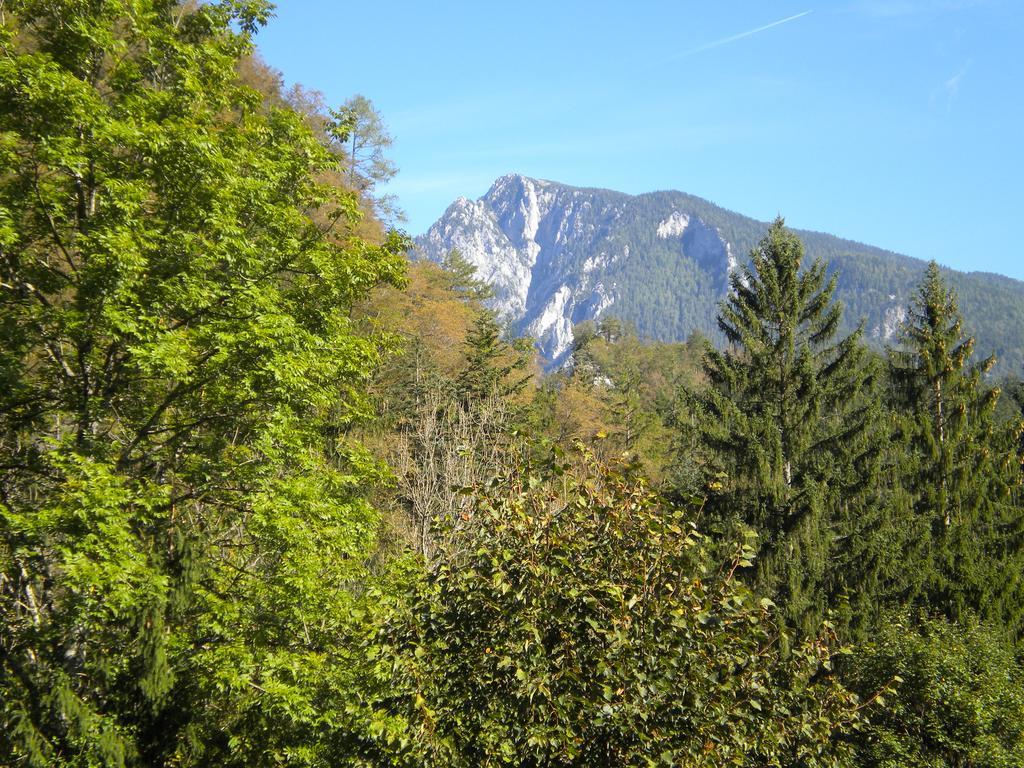 Turisticna Kmetija Stoglej Villa Luče Exterior foto