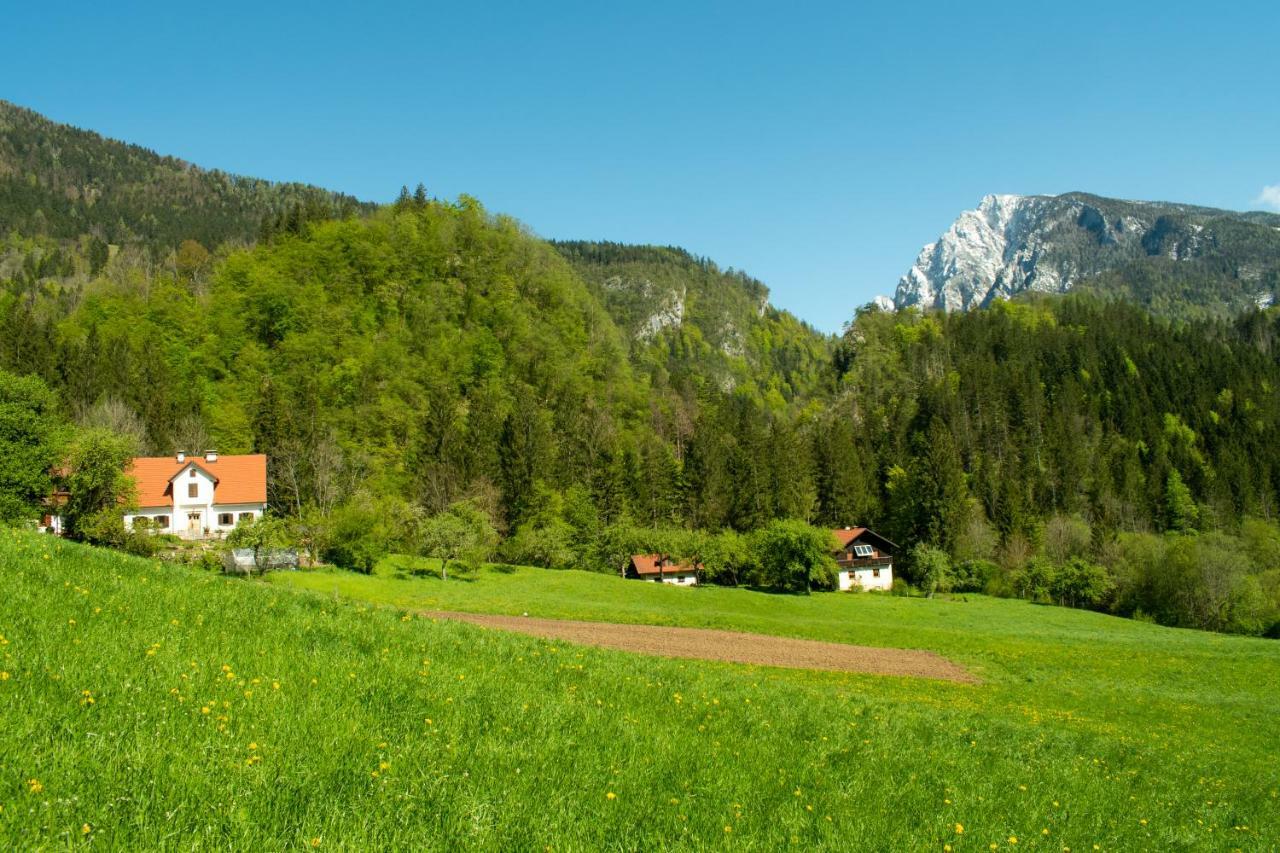 Turisticna Kmetija Stoglej Villa Luče Exterior foto