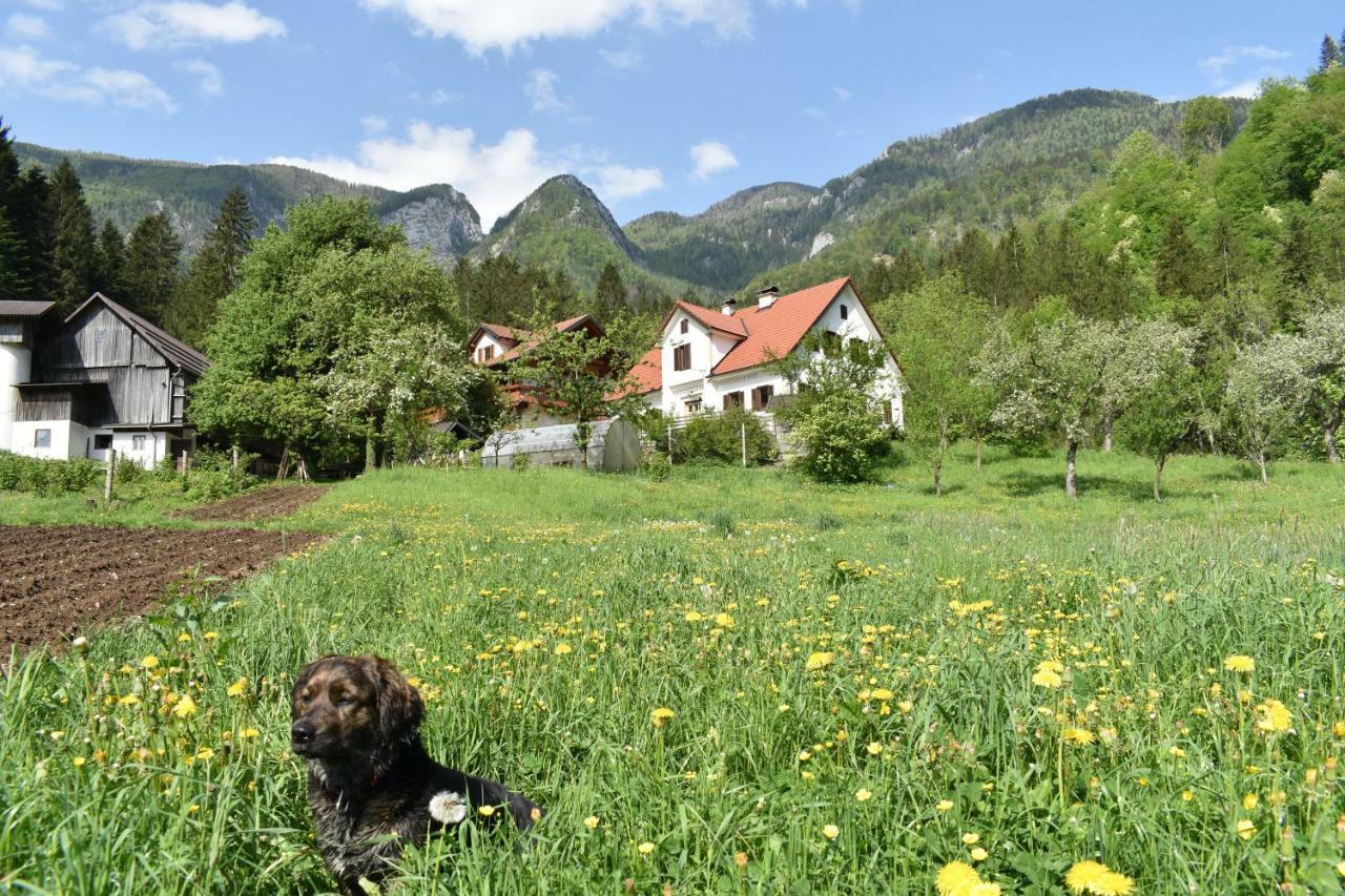 Turisticna Kmetija Stoglej Villa Luče Exterior foto